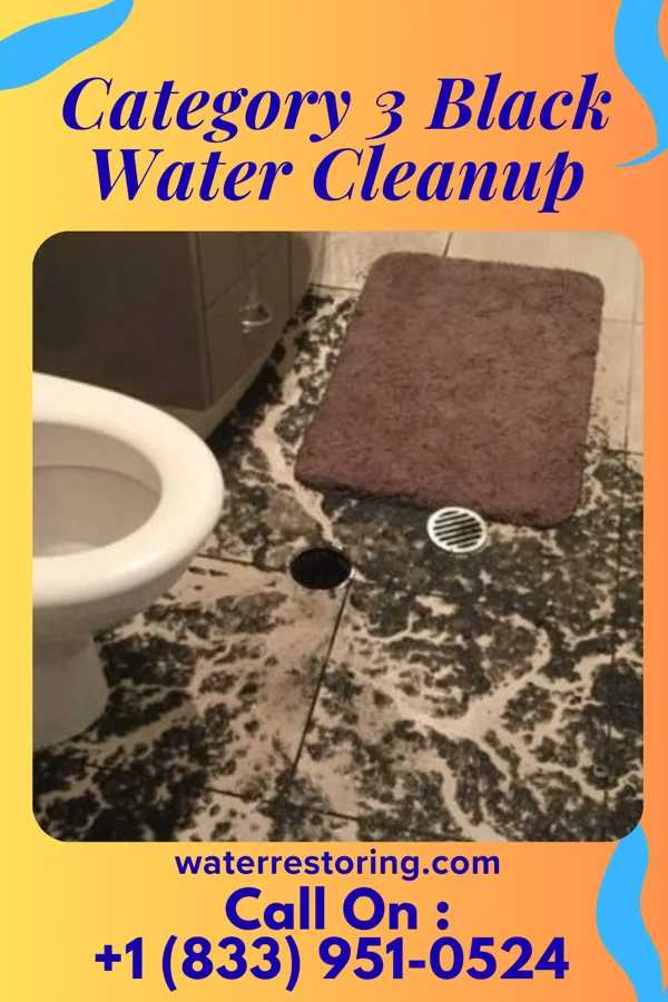Category 3 Black Water Cleanup in Baker, LA